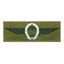 bundeswehr-original-bw-taetigkeitsabzeichen-fallschirmspringer-ansicht-7