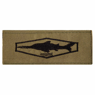BW Tätigkeitsabzeichen Schwimmtaucher