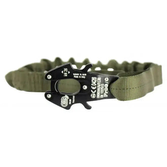 Lanyard Frog