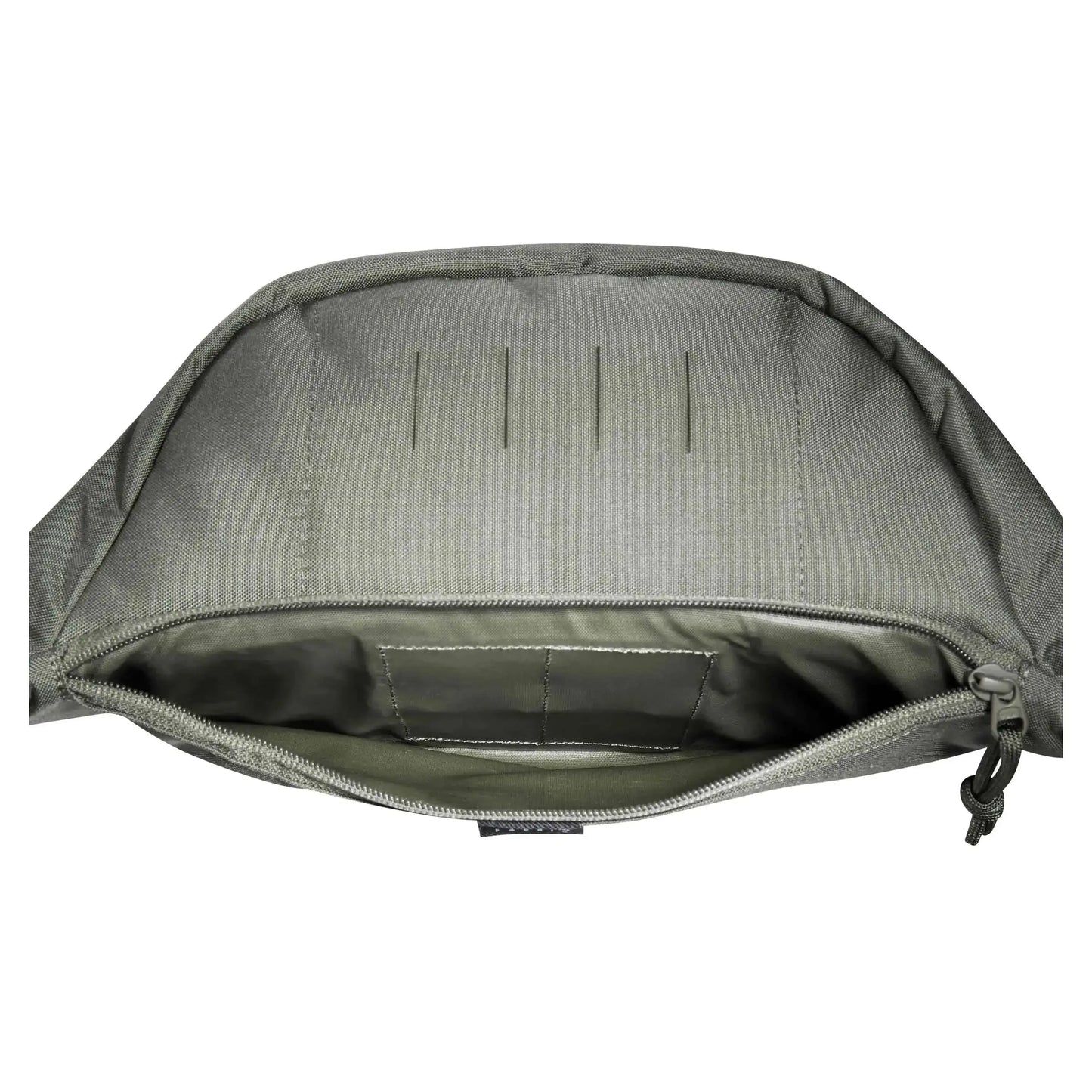 tasmanian-tiger-modular-hip-bag-ii-ansicht-7