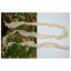 ghosthood-tarnstreifen-strip-solid-ansicht-7
