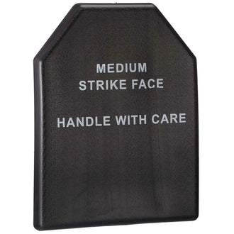 Trainingsplatte SAPI Dummy Plate