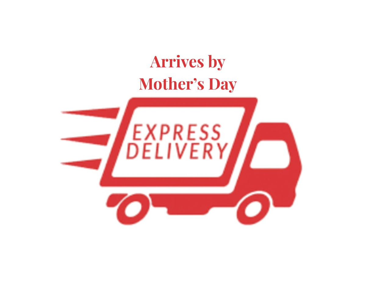 2 Day (Priority Fullfillment + Shipping)