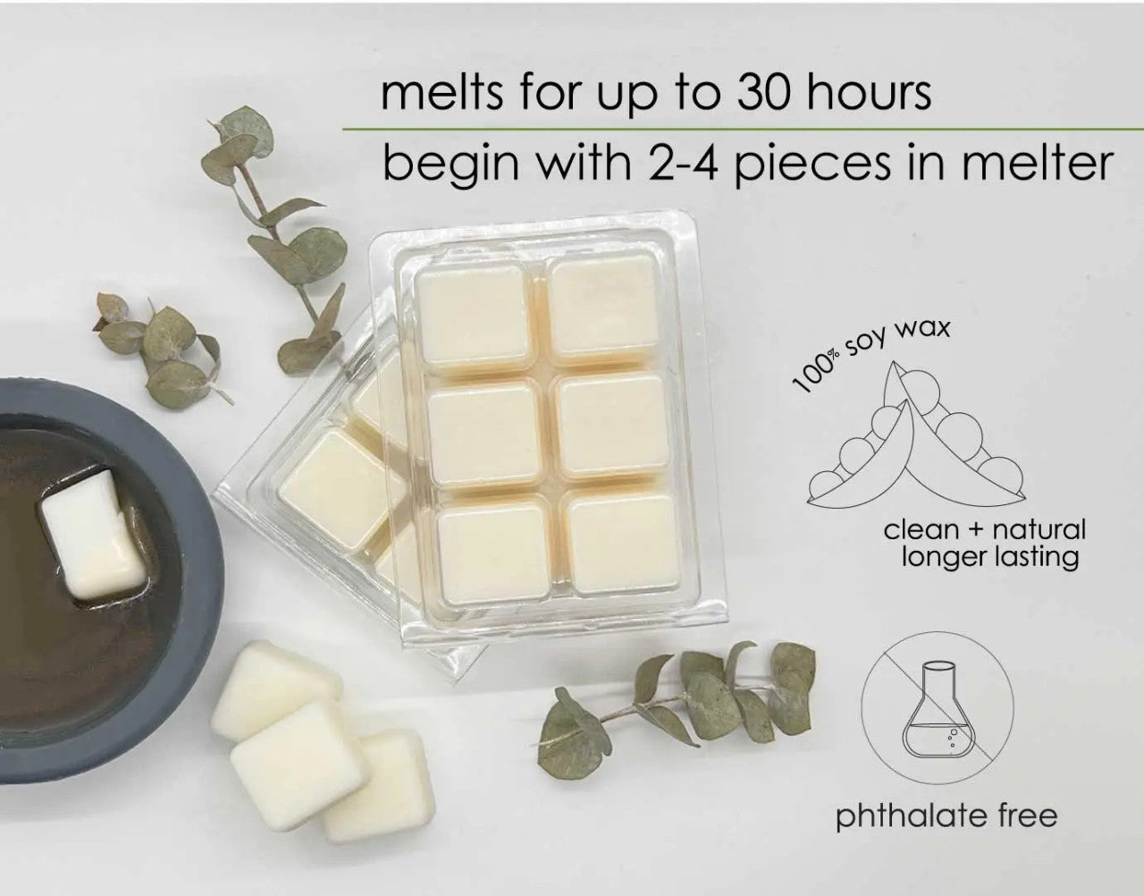 Eucalyptus Mint Wax Melts